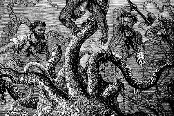 Kraken darknet kraken darknet 2n com